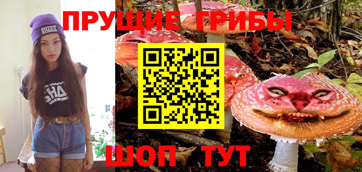 Псилоцибиновые грибы прущие грибы  Вход с VPN  Вольск  Псилоцибиновые грибы мухоморы 